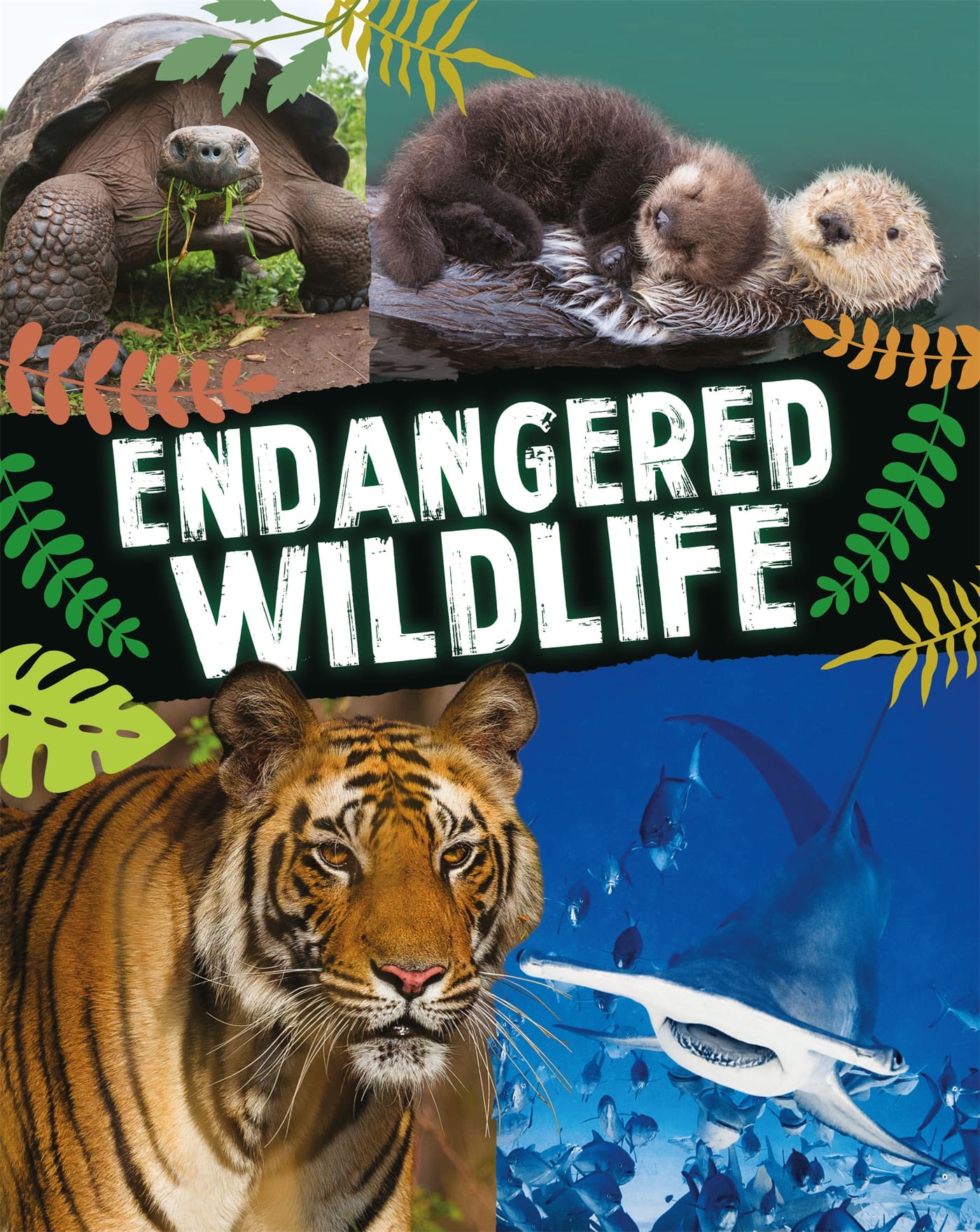 Endangered Wildlife Hachette Schools