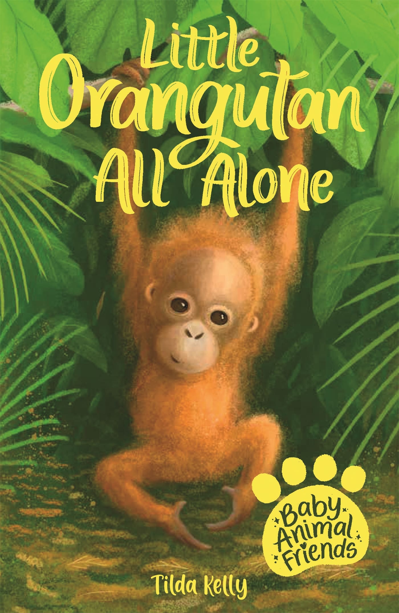Hachette Schools Baby Animal Friends: Little Orangutan All Alone ...