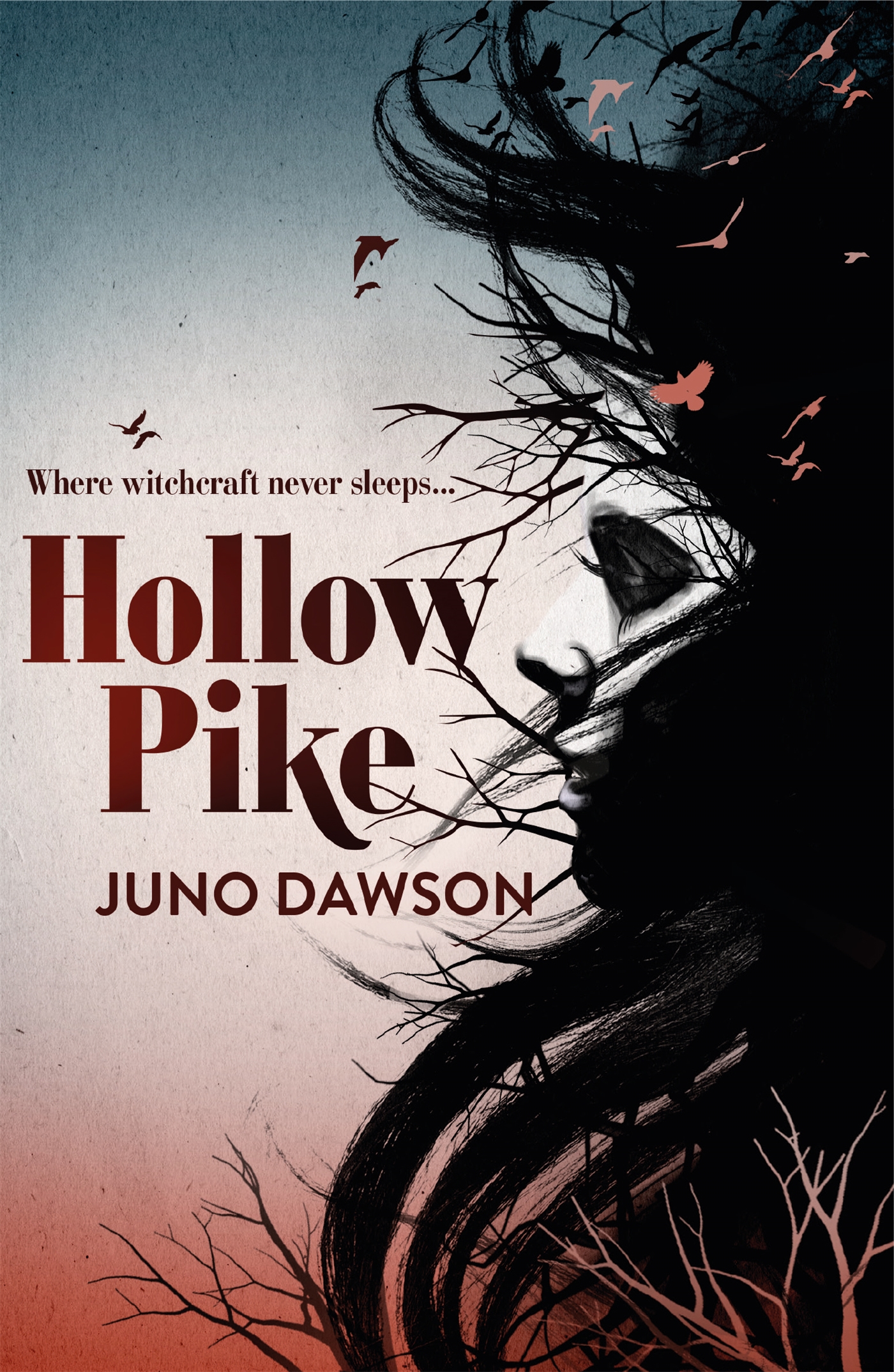 Hollow Pike Hachette Schools