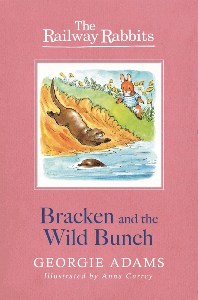 Railwaway Rabbit Railway Rabbits: Bracken and the Wild Bunch - Hachette Schools