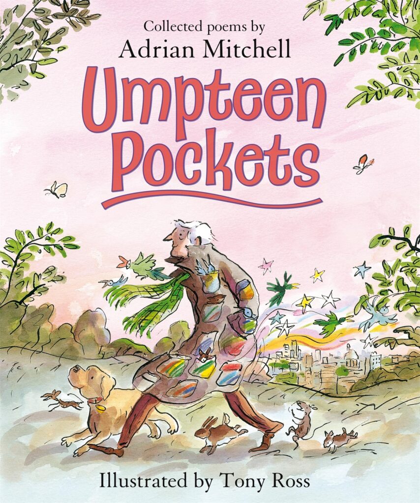 Umpteen Pockets Hachette Schools