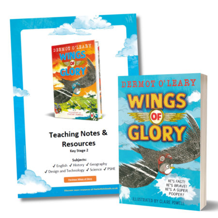Hachette Schools resource image - Wings of Glory