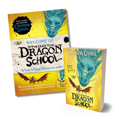 How to Train Your Dragon School poster