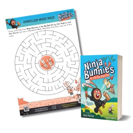 Ninja bunnies activity pack and book on a white background